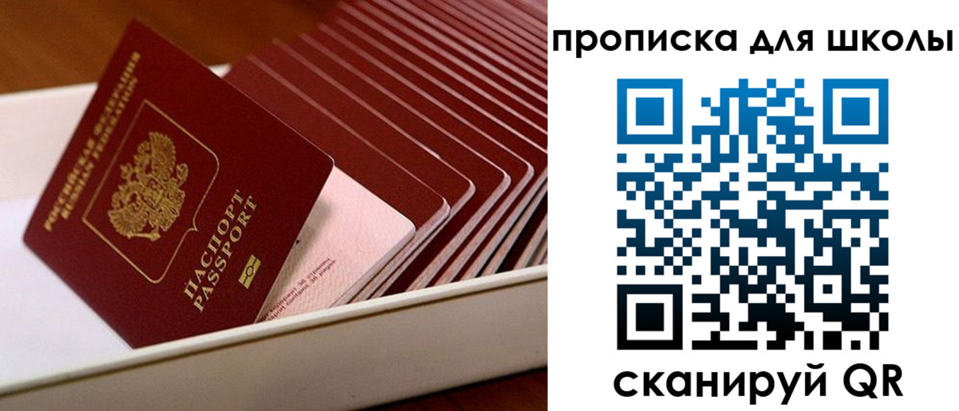 временная регистрация госуслуги в Камчатской области